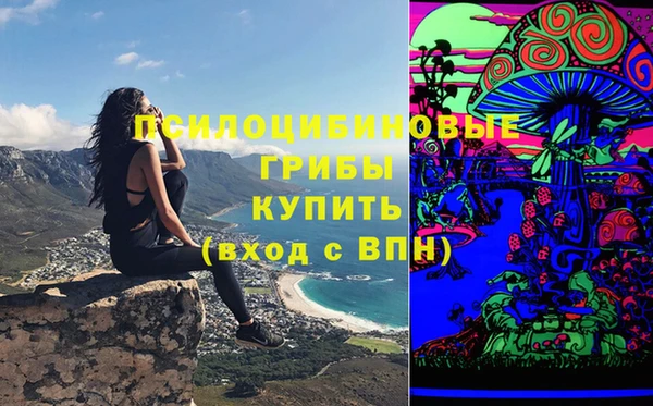 дживик Алзамай