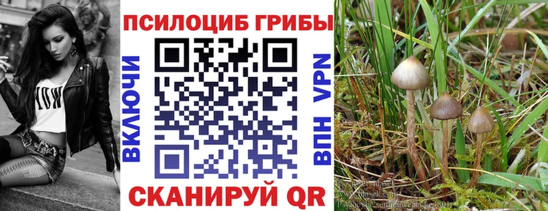 как найти   Слюдянка  Псилоцибиновые грибы прущие грибы 